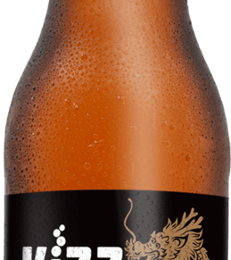 Kizz Kombucha Energy 355Ml