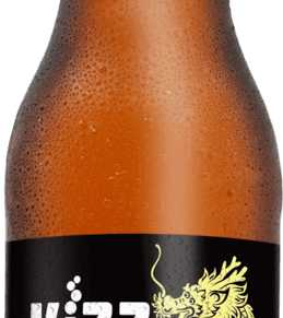 Kizz Kombucha Caju 355Ml