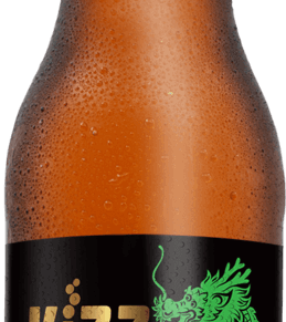 Kizz Kombucha Guarana Da Amazonia 355Ml
