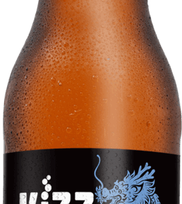 Kizz Kombucha Hibisco, Mirtilo E Framboesa 355 Ml