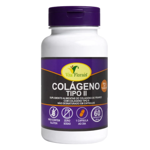Vita Florais Colageno Tipo 2 60 Caps