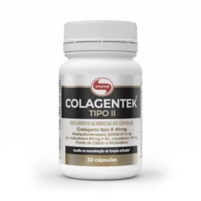Vitafor Colagentek Tipo 2 30 Caps