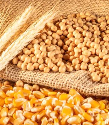 Produtos_Naturais_ex4